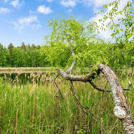 Дом отдыха Kaepaelaemaeki By Interhome Putkijarvi