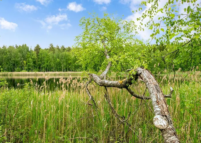 Σπίτι διακοπών Kaepaelaemaeki By Interhome